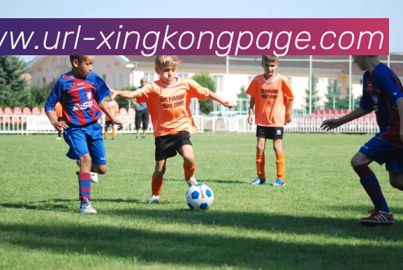 星空体育APP 体育赛事宣传图